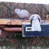 photo 2021-03-06 06-29-44