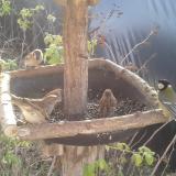 photo 2019-12-15 10-36-52