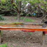 photo 2021-04-17 16-49-50