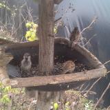 photo 2019-12-21 12-10-21