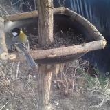 photo 2019-02-20 15-28-02