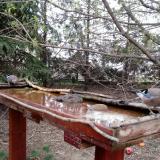 photo 2022-03-31 08-15-59