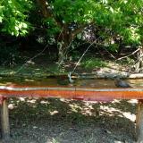 photo 2021-05-08 11-14-57