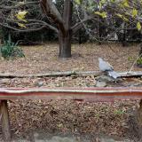 photo 2021-10-21 14-35-08