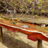 photo 2021-04-06 12-49-49