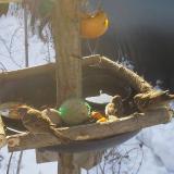 photo 2019-01-27 09-11-26