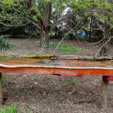 photo 2021-04-17 16-48-56