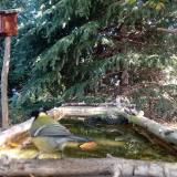 photo 2023-10-12 10-10-18