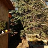 photo 2021-12-17 13-30-24