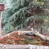 photo 2023-10-10 09-11-31