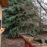 photo 2021-12-16 11-21-53