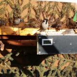 photo 2021-03-03 14-24-04