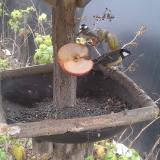 photo 2019-12-05 11-45-11