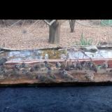 photo 2021-11-30 14-14-03