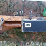 photo 2021-03-03 08-35-59