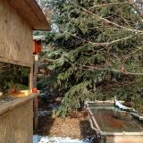 photo 2022-01-09 13-02-03