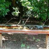 photo 2021-07-22 09-36-00