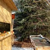 photo 2022-01-09 11-02-54