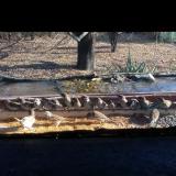 photo 2021-11-24 12-32-36