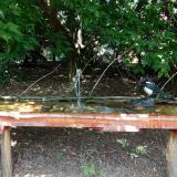 photo 2021-08-04 13-36-38