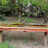 photo 2021-04-26 15-20-02