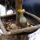 photo 2019-01-15 10-57-55