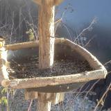 photo 2019-12-30 13-56-49