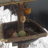 photo 2019-01-28 08-27-11