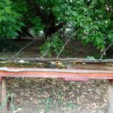 photo 2021-05-31 12-24-47