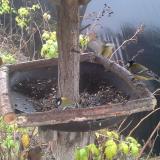 photo 2019-12-14 11-17-53