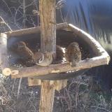 photo 2019-02-23 11-52-14