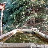 photo 2023-10-12 10-47-22