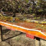 photo 2021-04-08 16-30-11