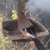 photo 2019-12-22 11-30-03