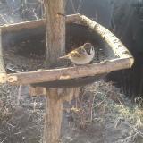 photo 2019-02-19 08-10-55