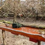 photo 2021-03-19 08-15-06