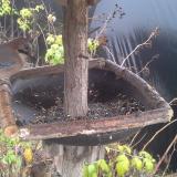 photo 2019-12-14 11-32-31