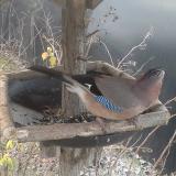 photo 2019-12-29 08-18-51