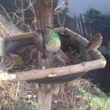 photo 2019-02-11 10-18-50