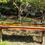 photo 2021-04-21 09-55-56