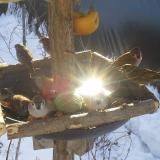 photo 2019-01-27 10-09-48