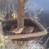 photo 2019-12-29 13-21-25