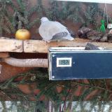 photo 2021-02-15 07-54-37