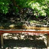 photo 2021-05-10 11-01-42