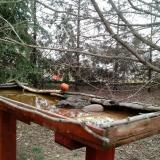 photo 2022-03-17 07-52-51