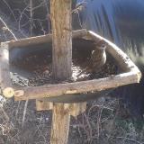 photo 2019-02-23 11-50-30