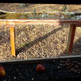 photo 2021-11-03 14-35-26