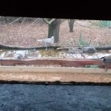 photo 2021-12-07 07-50-40