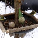 photo 2019-01-12 10-21-23