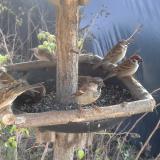 photo 2019-12-20 12-21-23